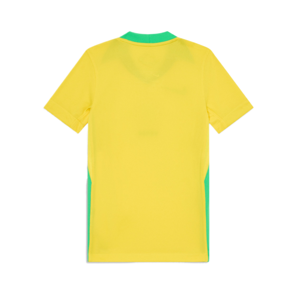 2025 Brazil Home Kit