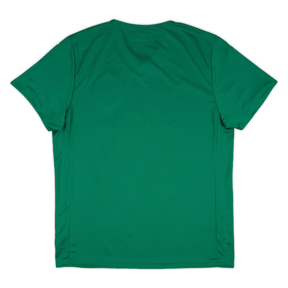 2025-26 SE Palmeiras Home Kit