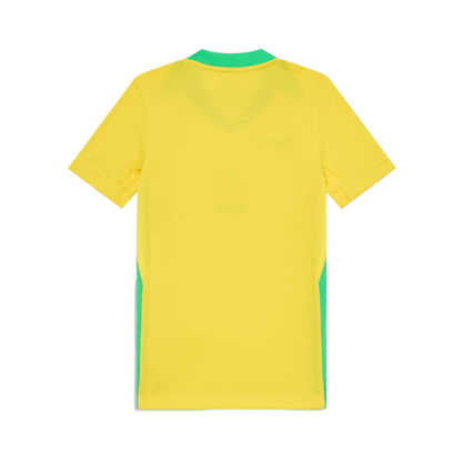 2025 Brazil Home Kit