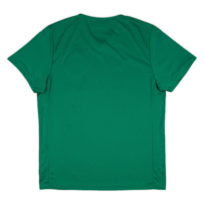 2025-26 SE Palmeiras Home Kit